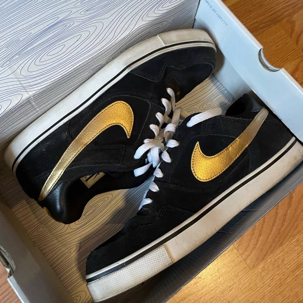 Paul Rodriguez Nike Men’s 10